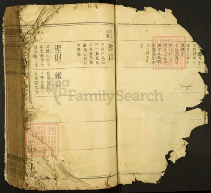 江西省赣州市于都县王氏太原堂族谱-王氏联修族谱.pdf电子版插图2