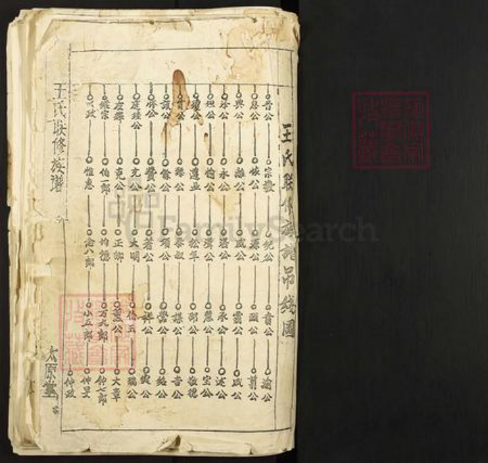 广东省梅州市兴宁市石马镇王氏太原堂族谱-王氏联修族谱.pdf电子版插图1