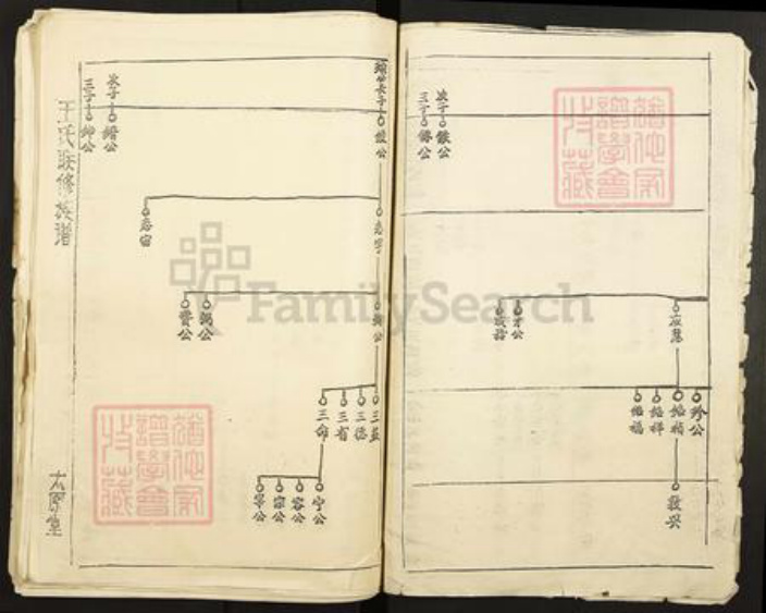 广东省梅州市兴宁市石马镇王氏太原堂族谱-王氏联修族谱.pdf电子版插图4