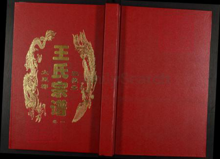 安徽省合肥市王氏三槐堂族谱-王氏宗谱.pdf电子版插图