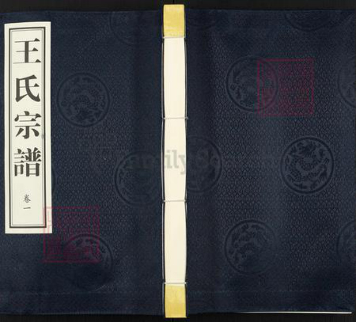江苏省苏州市姑苏区王氏三槐堂族谱-王氏宗谱.pdf电子版插图