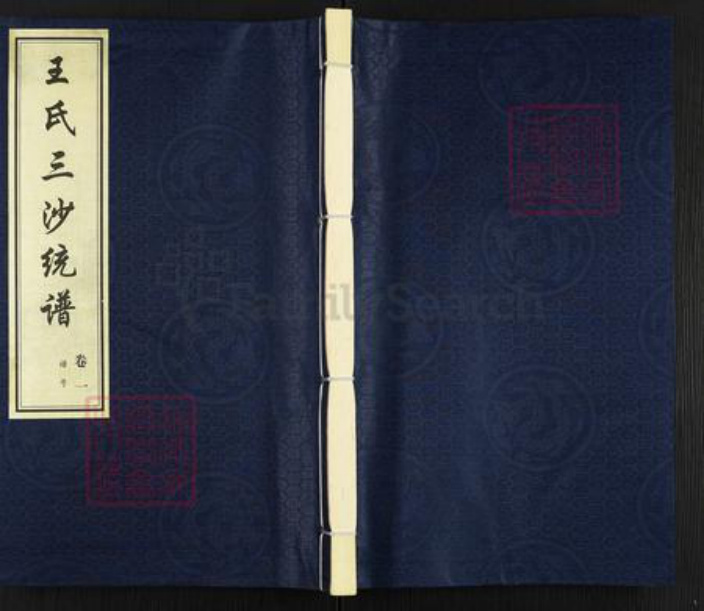江苏省无锡市无锡市辖区无锡王氏三槐堂族谱-王氏三沙统谱.pdf电子版插图