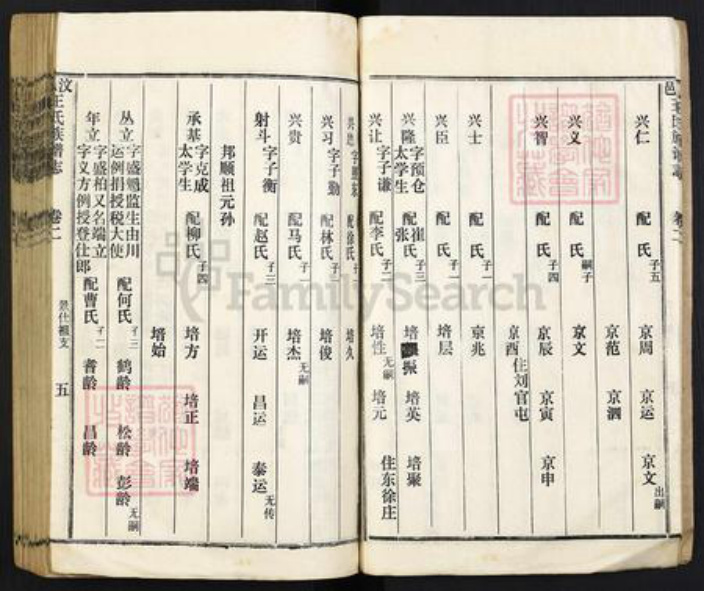 山东省济宁市梁山县王氏族谱-汶邑王氏族谱(讠志).pdf电子版插图5