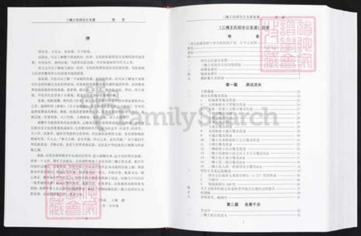 云南省昭通市镇雄县王氏三槐堂族谱-三槐王氏绍全公支谱.pdf电子版插图2