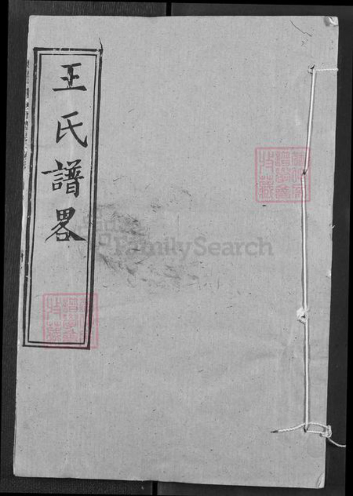 湖北省武汉市新洲区王氏三槐堂族谱-王氏宗谱.pdf电子版插图
