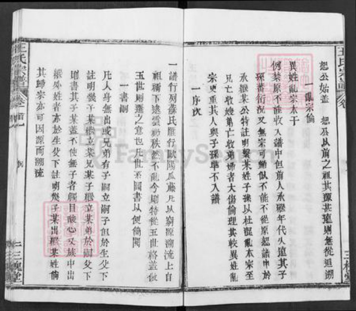 湖北省武汉市新洲区王氏三槐堂族谱-王氏宗谱.pdf电子版插图2