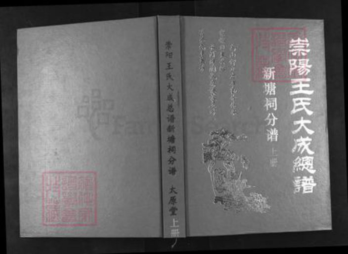 湖北省咸宁市崇阳县白霓镇王氏太原堂族谱-崇阳王氏大成总谱.新塘祠分谱.pdf电子版插图