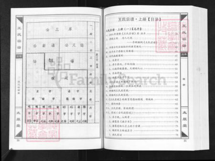 湖北省咸宁市崇阳县白霓镇王氏太原堂族谱-崇阳王氏大成总谱.新塘祠分谱.pdf电子版插图5