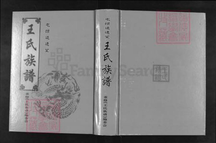 山东省泰安市肥城市桃园镇王氏追远堂族谱-屯头追远堂王氏族谱.pdf电子版插图