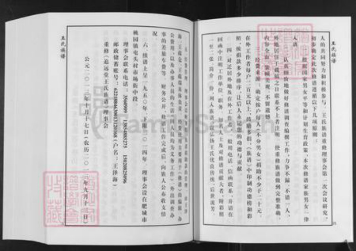 山东省泰安市肥城市桃园镇王氏追远堂族谱-屯头追远堂王氏族谱.pdf电子版插图2