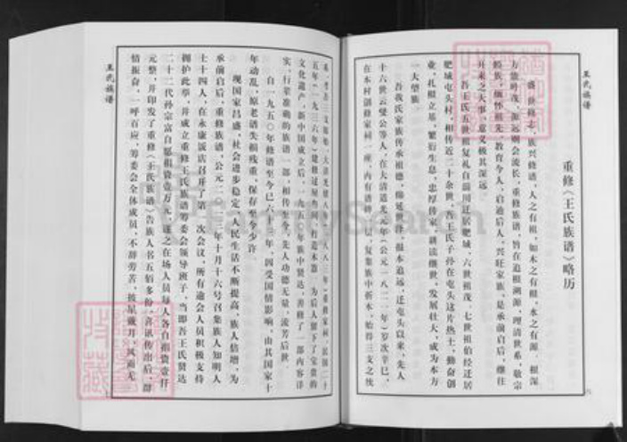 山东省泰安市肥城市桃园镇王氏追远堂族谱-屯头追远堂王氏族谱.pdf电子版插图3