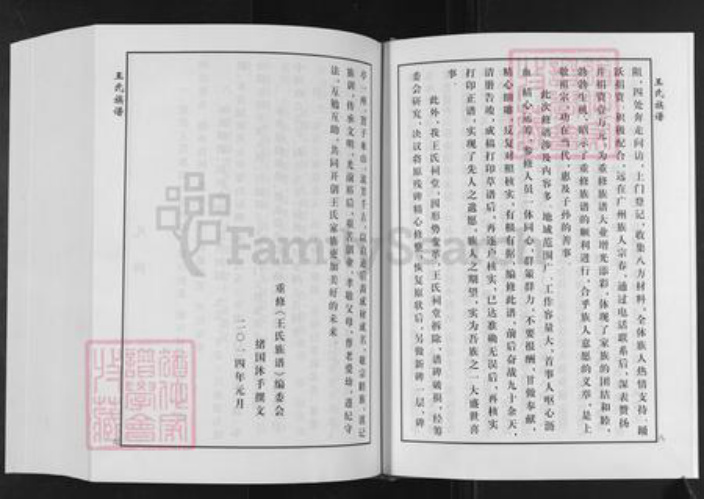 山东省泰安市肥城市桃园镇王氏追远堂族谱-屯头追远堂王氏族谱.pdf电子版插图4