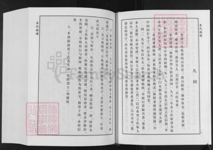 山东省泰安市肥城市桃园镇王氏追远堂族谱-屯头追远堂王氏族谱.pdf电子版插图5