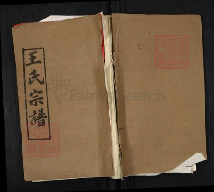 湖北省王氏三槐堂族谱-王氏宗谱.pdf电子版插图