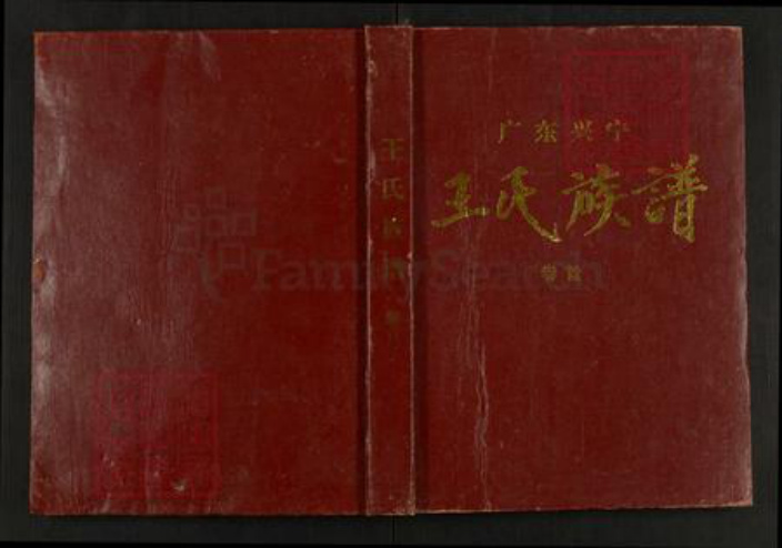 广东省梅州市兴宁市王氏三槐堂族谱-广东兴宁王氏族谱.pdf电子版插图