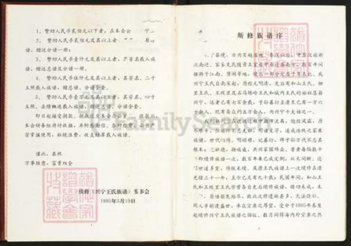 广东省梅州市兴宁市王氏三槐堂族谱-广东兴宁王氏族谱.pdf电子版插图4