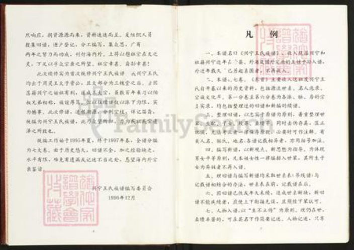 广东省梅州市兴宁市王氏三槐堂族谱-广东兴宁王氏族谱.pdf电子版插图5