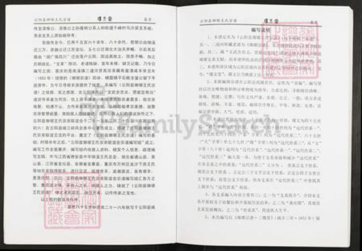 重庆市云阳县王氏瓘文堂族谱-云阳县琅琊王氏宗谱.pdf电子版插图4