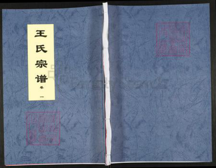 安徽省合肥市肥东县店端口镇王氏三槐堂族谱-王氏宗谱.pdf电子版插图