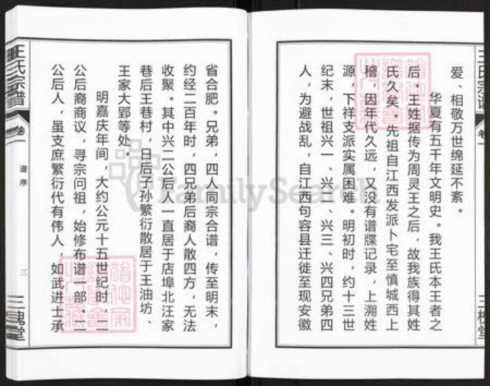 安徽省合肥市肥东县店端口镇王氏三槐堂族谱-王氏宗谱.pdf电子版插图4