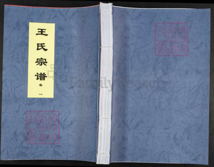 安徽省合肥市王氏三槐堂族谱-王氏宗谱.pdf电子版插图