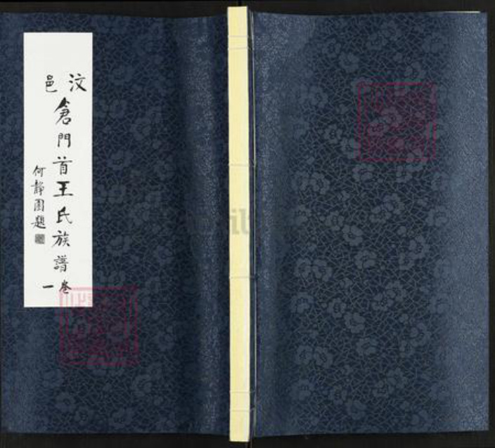 山东省济宁市汶上县王氏族谱-仓门首王氏族谱.pdf电子版插图