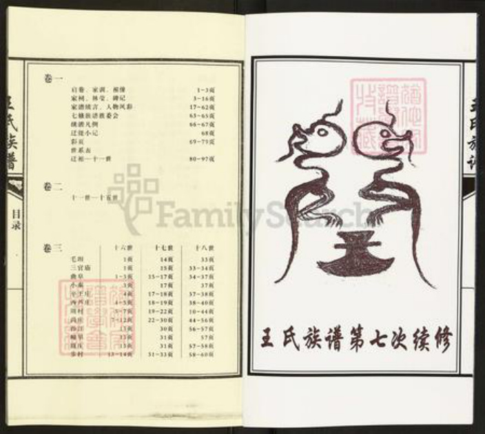 山东省济宁市汶上县王氏族谱-仓门首王氏族谱.pdf电子版插图2