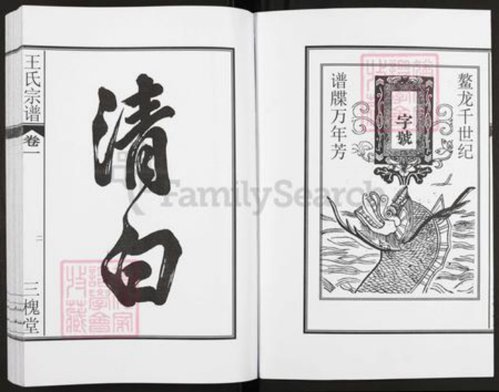 安徽省合肥市肥东县店端口镇王氏三槐堂族谱-王氏宗谱.pdf电子版插图3