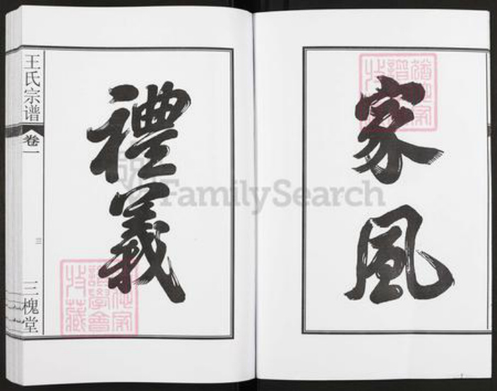 安徽省合肥市肥东县店端口镇王氏三槐堂族谱-王氏宗谱.pdf电子版插图4