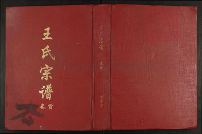 江西省九江市德安县爱民乡王氏忠孝堂族谱-王氏宗谱.pdf电子版插图