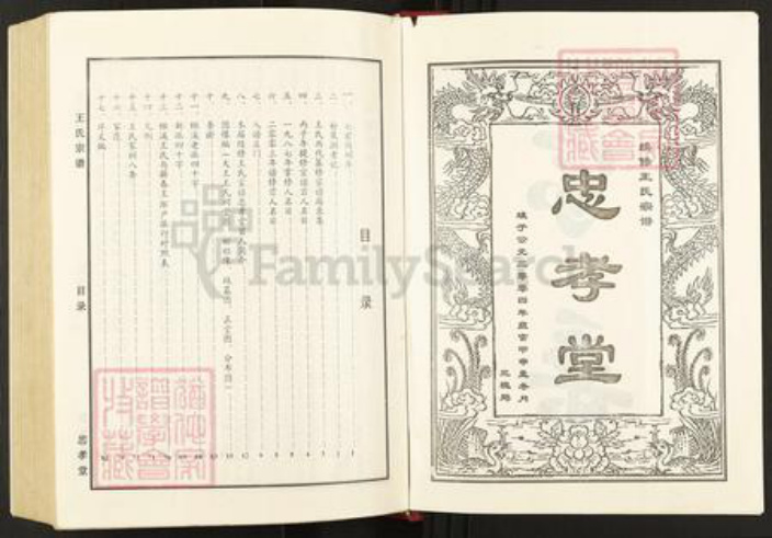 江西省九江市德安县爱民乡王氏忠孝堂族谱-王氏宗谱.pdf电子版插图3