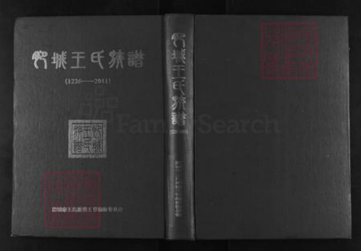 山东省泰安市肥城县仪阳街道王氏族谱-肥城王氏族谱.pdf电子版插图