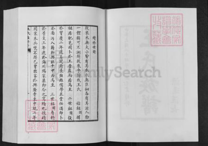 山东省泰安市肥城县仪阳街道王氏族谱-肥城王氏族谱.pdf电子版插图2