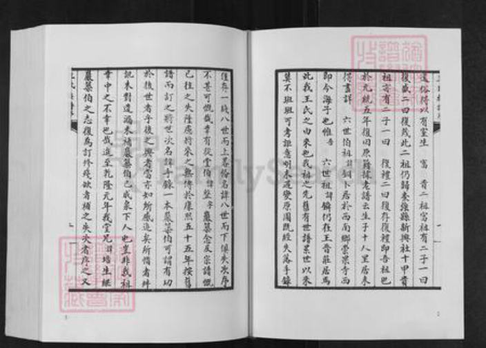 山东省泰安市肥城县仪阳街道王氏族谱-肥城王氏族谱.pdf电子版插图3