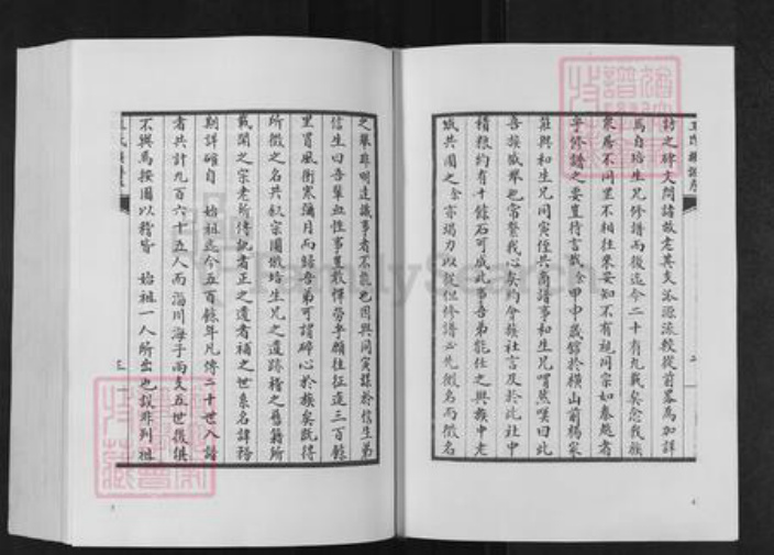 山东省泰安市肥城县仪阳街道王氏族谱-肥城王氏族谱.pdf电子版插图4