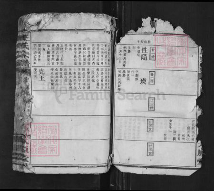江西省九江市修水县王氏太原堂族谱-王氏宗谱.pdf电子版插图3