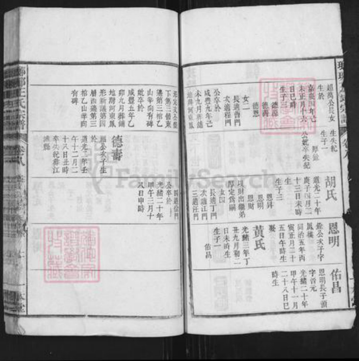 安徽省安庆市潜山市王氏一本堂族谱-琅琊王氏总谱.pdf电子版插图2