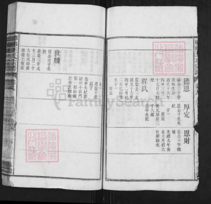 安徽省安庆市潜山市王氏一本堂族谱-琅琊王氏总谱.pdf电子版插图3