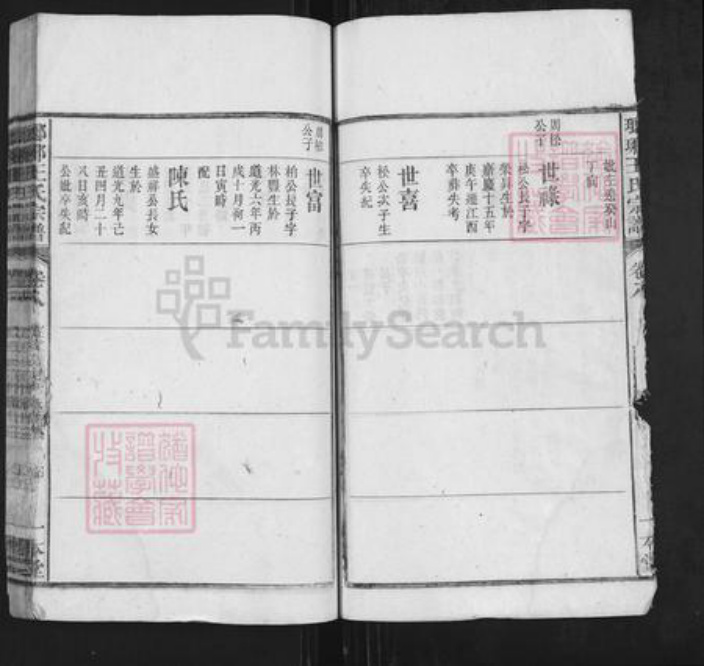 安徽省安庆市潜山市王氏一本堂族谱-琅琊王氏总谱.pdf电子版插图4