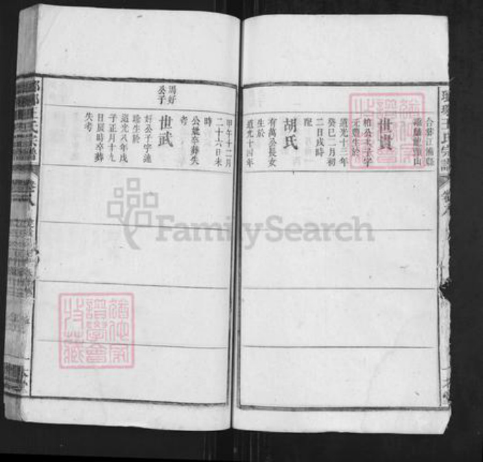 安徽省安庆市潜山市王氏一本堂族谱-琅琊王氏总谱.pdf电子版插图5