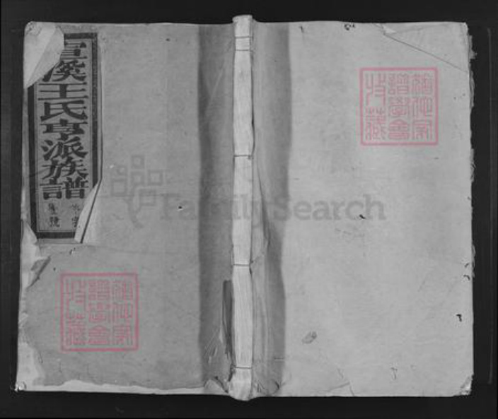 江西省吉安市吉安县敖城镇王氏乐善堂族谱-宣溪王氏亨派族谱.pdf电子版插图