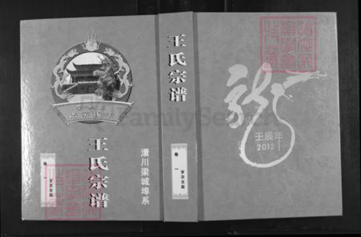 湖北省孝感市湖北省孝感市孝南区王氏三槐堂族谱-王氏宗谱.澴川梁城端口系.pdf电子版插图