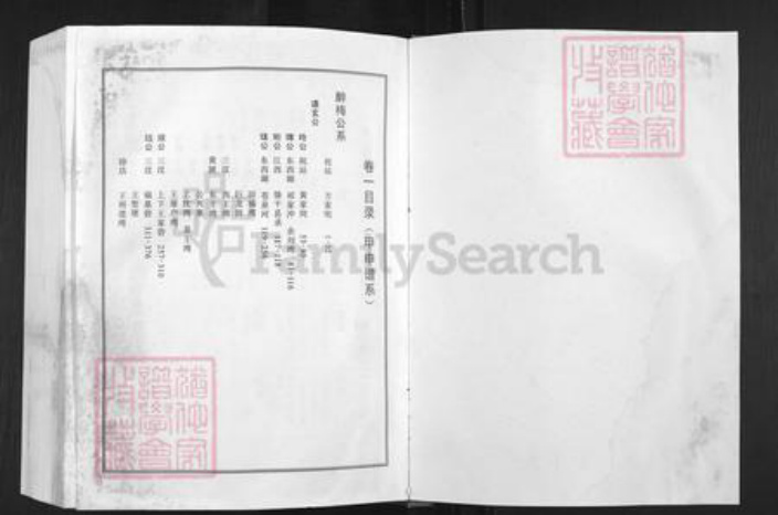 湖北省孝感市湖北省孝感市孝南区王氏三槐堂族谱-王氏宗谱.澴川梁城端口系.pdf电子版插图1
