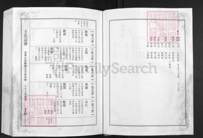 湖北省孝感市湖北省孝感市孝南区王氏三槐堂族谱-王氏宗谱.澴川梁城端口系.pdf电子版插图2
