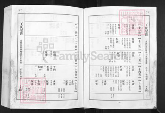 湖北省孝感市湖北省孝感市孝南区王氏三槐堂族谱-王氏宗谱.澴川梁城端口系.pdf电子版插图4