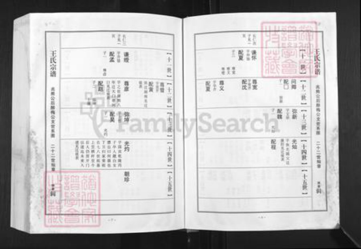 湖北省孝感市湖北省孝感市孝南区王氏三槐堂族谱-王氏宗谱.澴川梁城端口系.pdf电子版插图5