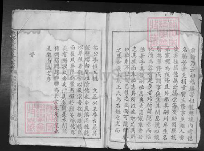 广东省韶关市南雄市南亩镇王氏族谱-鱼溪先祖堂王氏族谱.pdf电子版插图2