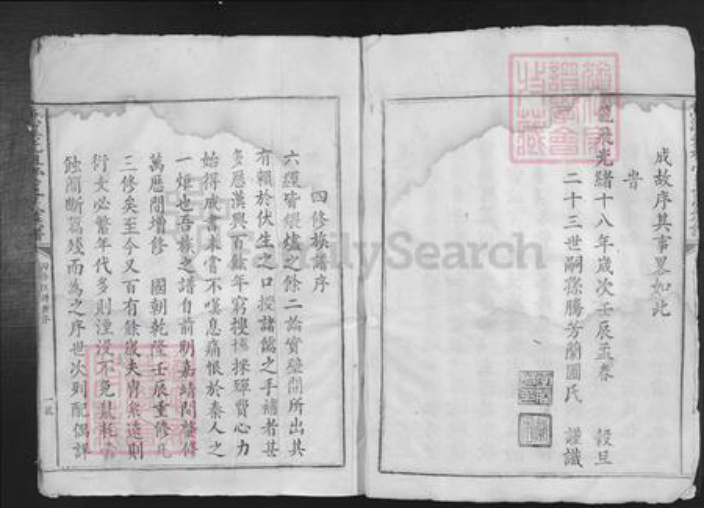 广东省韶关市南雄市南亩镇王氏族谱-鱼溪先祖堂王氏族谱.pdf电子版插图5