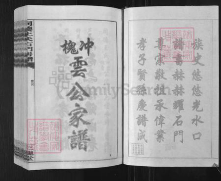 湖南省娄底市双峰县王氏三槐堂族谱-同德王氏续修房谱.pdf电子版插图2