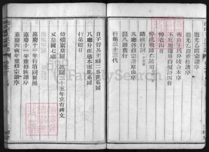 浙江省王氏族谱-西山王氏宗谱 [4卷].pdf电子版插图4
